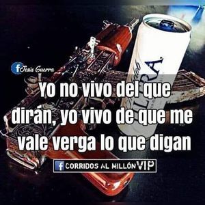 Meet your Posher, Alan